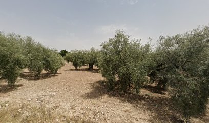 Dirección, horario, teléfono y opiniones de Carpintería Metalica Virgde Araceli,S.L. en Lucena
