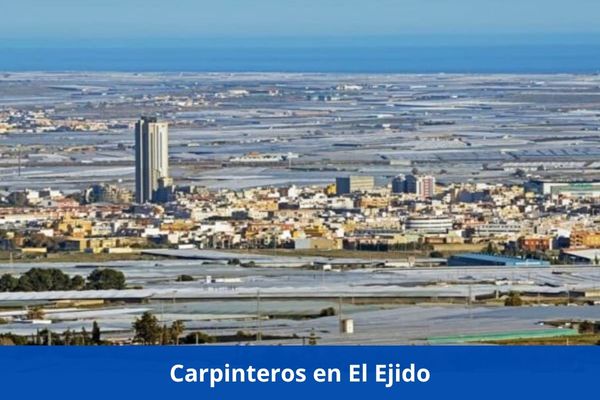 ¿Hay algún carpintero cerca de mí? ➜ Los mejores carpinteros en El Ejido