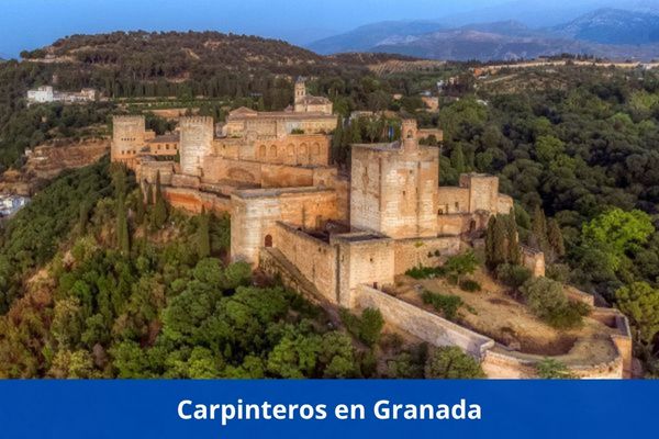 ¿Hay algún carpintero cerca de mí? ➜ Los mejores carpinteros en Granada