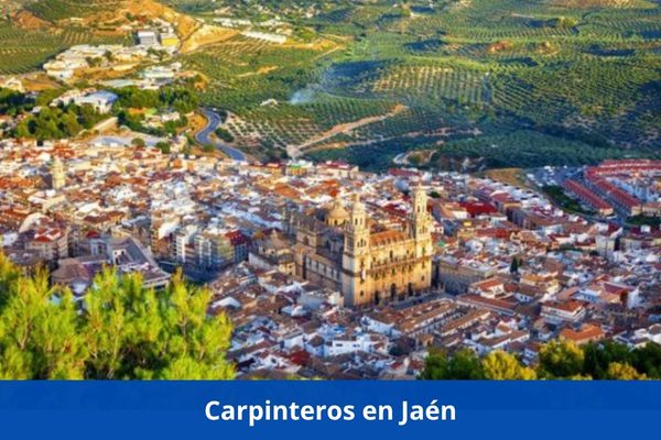 ¿Hay algún carpintero cerca de mí? ➜ Los mejores carpinteros en Jaén