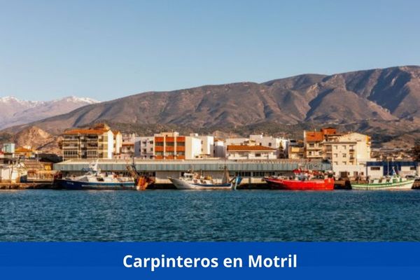 ¿Hay algún carpintero cerca de mí? ➜ Los mejores carpinteros en Motril
