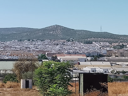 Dirección, horario, teléfono y opiniones de Graferma S.L. en Lucena