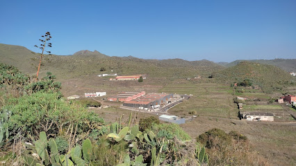 Dirección, horario, teléfono y opiniones de Damfer en La Laguna